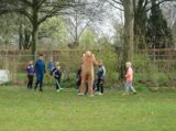 Paas-plezier op sportpark Het Springer voor S.K.N.W.K. JO7-1 en JO9-1 van zaterdag 8 april 2023 (201/240)